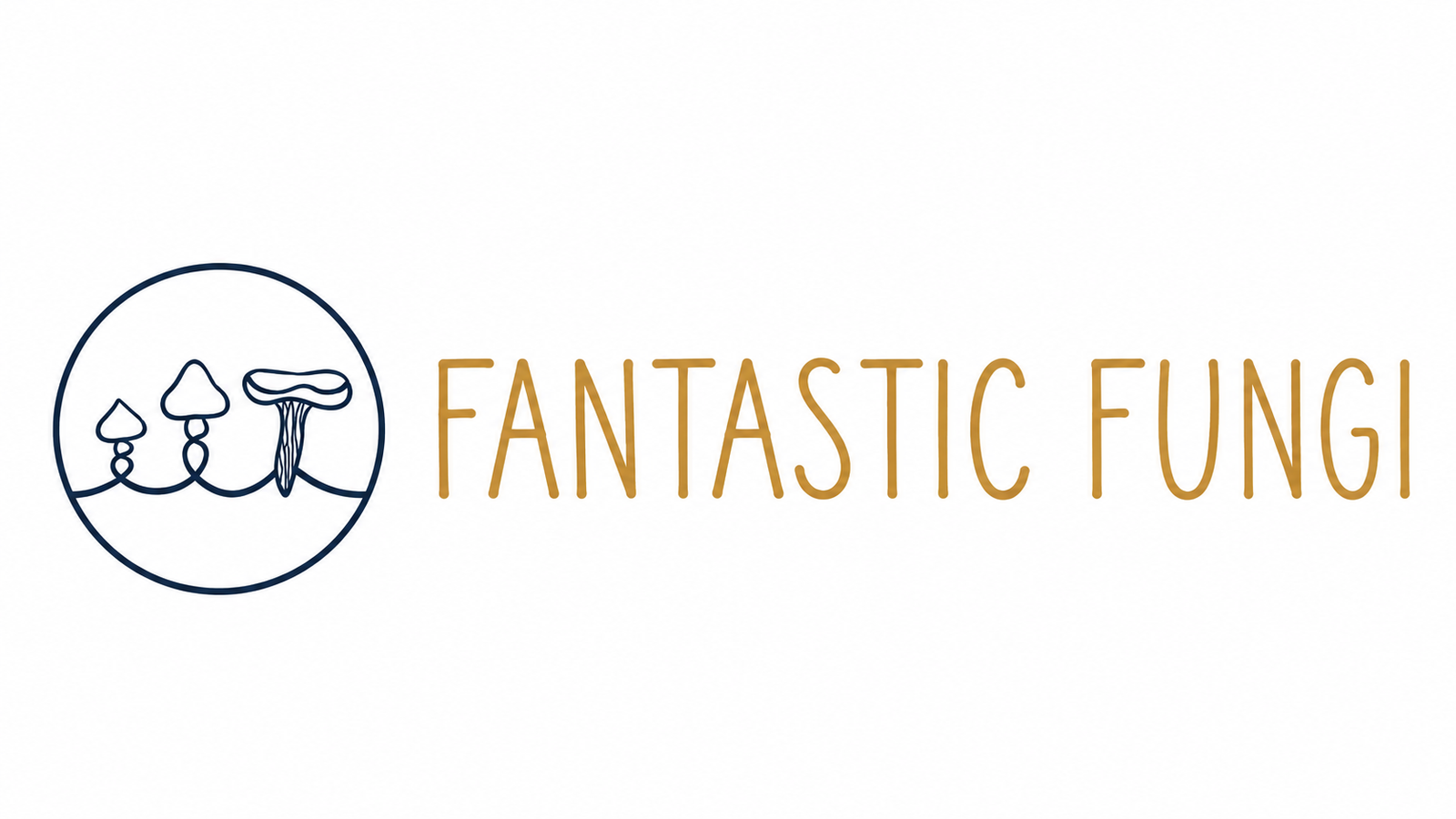 fantasticfungi.mzansiai.io
